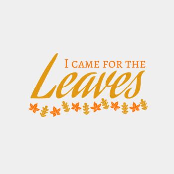 Fall Season 28 Thumbnail