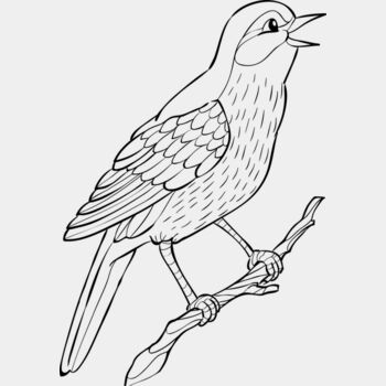 Nightingale   Clipart 2 Thumbnail