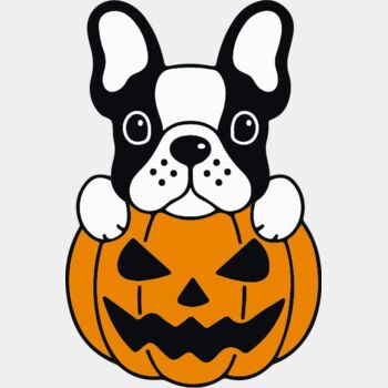 Pumpkin Frenchie (0895) Thumbnail
