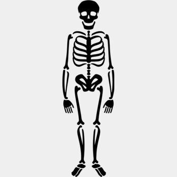 Skeleton 8 Thumbnail