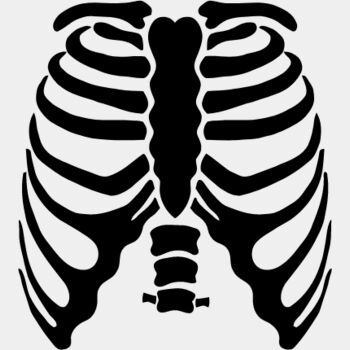 Rib cage 2 Thumbnail