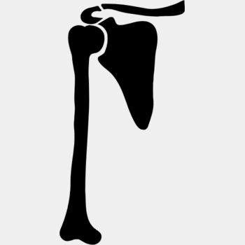 right humorous Thumbnail