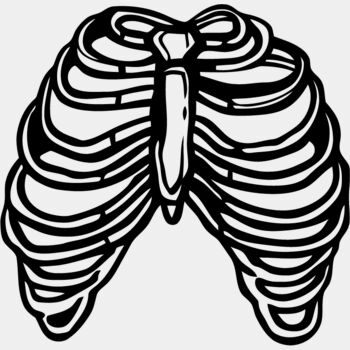 Rib cage 3 Thumbnail