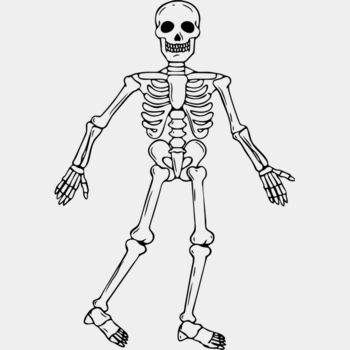 Skeleton 3 Thumbnail