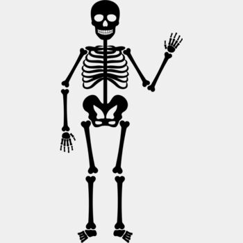 Skeleton 6 Thumbnail