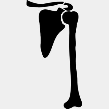 Left humorous Thumbnail