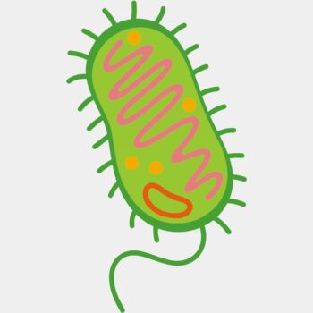 Bacteria Cell Thumbnail