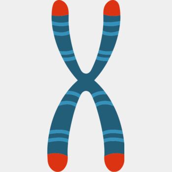 Chromosome Thumbnail