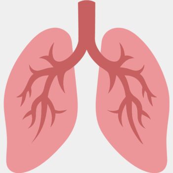 Lungs Thumbnail