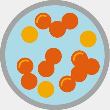 Petri Dish Orange Thumbnail