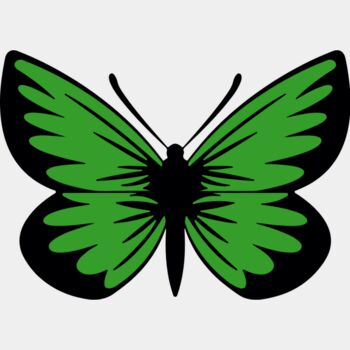 Green Butterfly Thumbnail