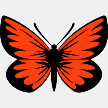 Orange Butterfly Thumbnail