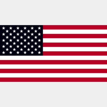 United States of America Flag Thumbnail