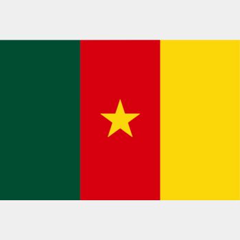 Cameroon Flag Thumbnail