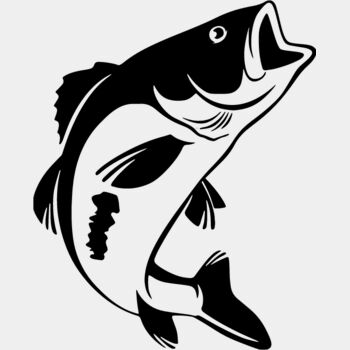 Plain Bass Fish Thumbnail