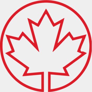 CA FLAG 03 Thumbnail