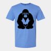 Men/Unisex Softstyle Lightweight T-Shirt Thumbnail
