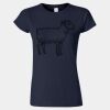 Softstyle Women’s Light Weight T-Shirt Thumbnail